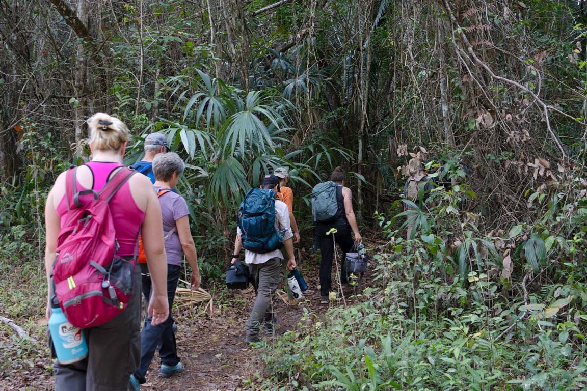 The group of students, archaeologists and visitors hike.