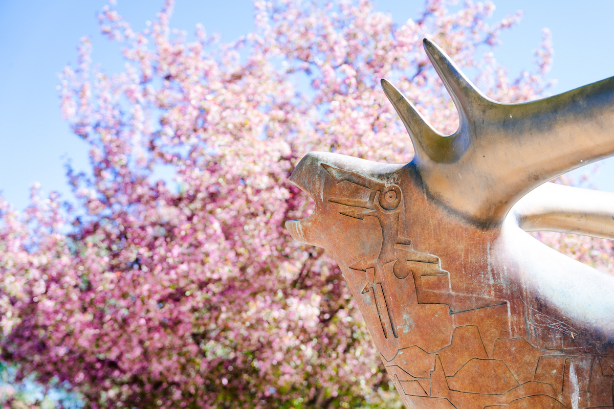 The elk statue on campus with crab apples in bloom behind.