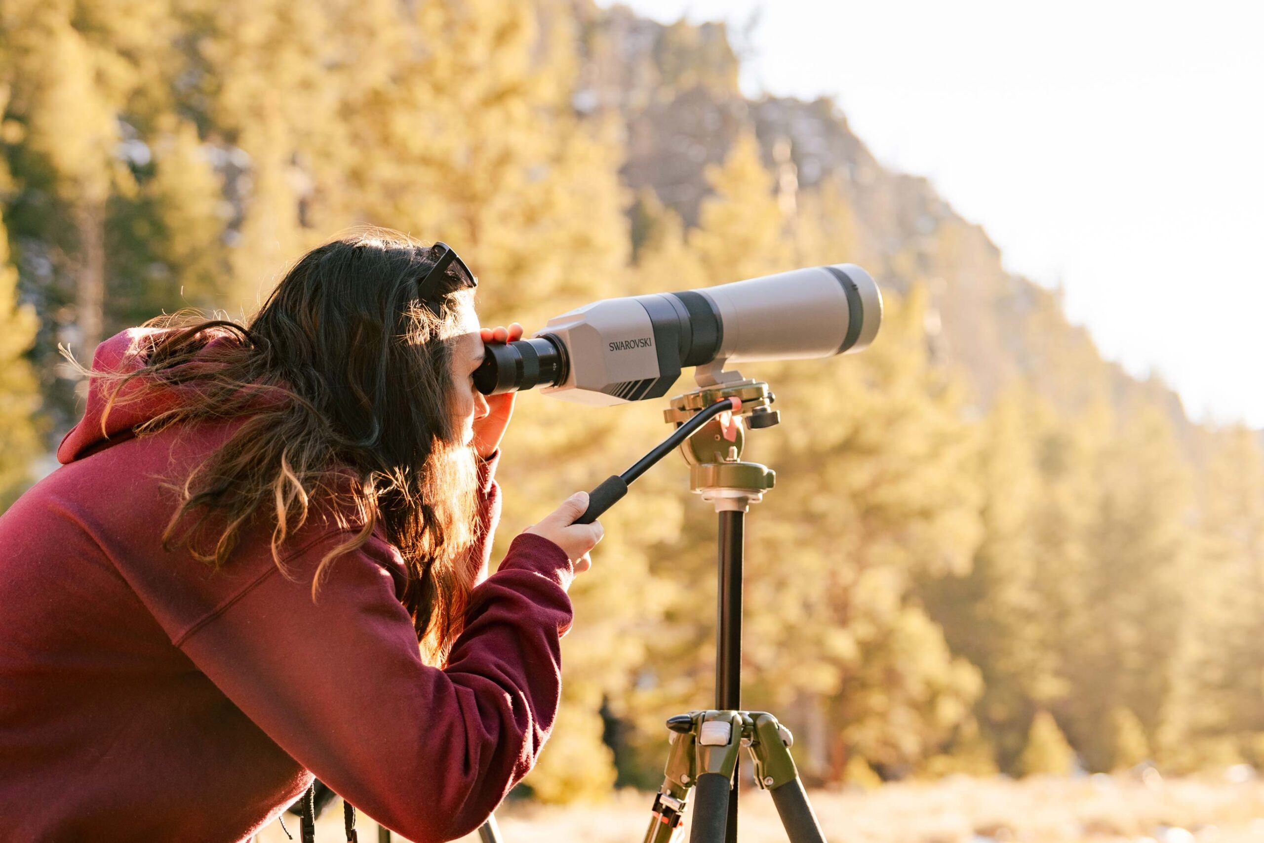 A student looks through a scope on a tripod at golden hour.