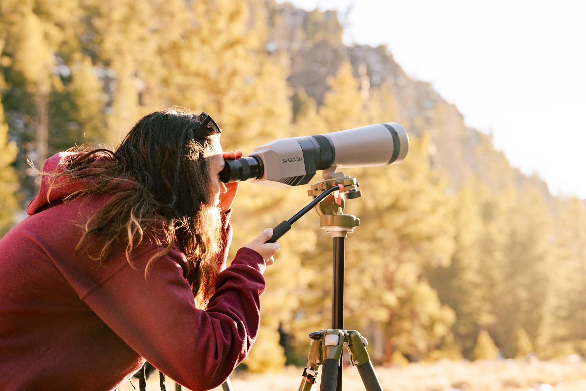 A student looks through a scope on a tripod at golden hour. Pine trees and parts of Taylor Canyon can be seen in the background.