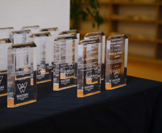 A photo of the awards on a table at the Alumni Awards for Excellence.