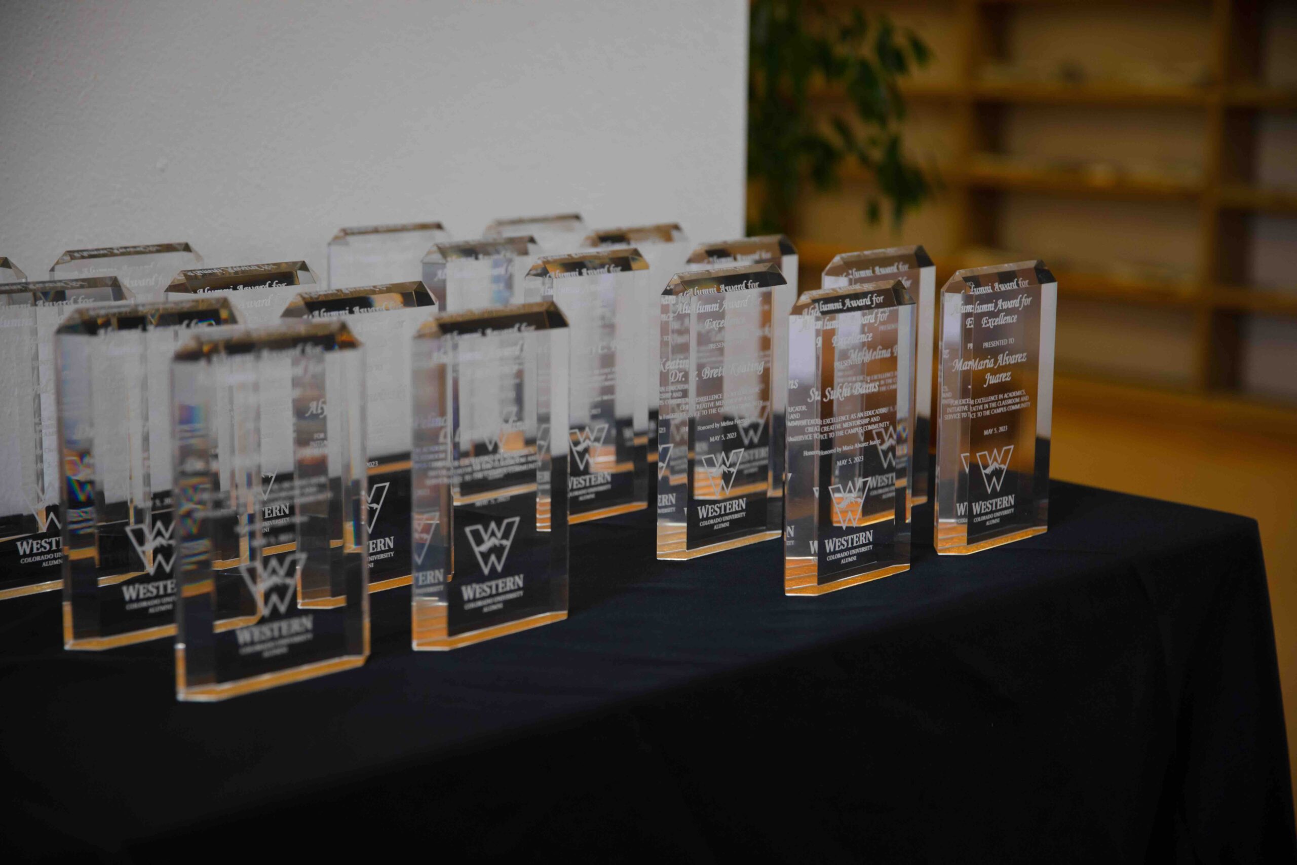 Awards on a table at the Alumni Awards for Excellence.