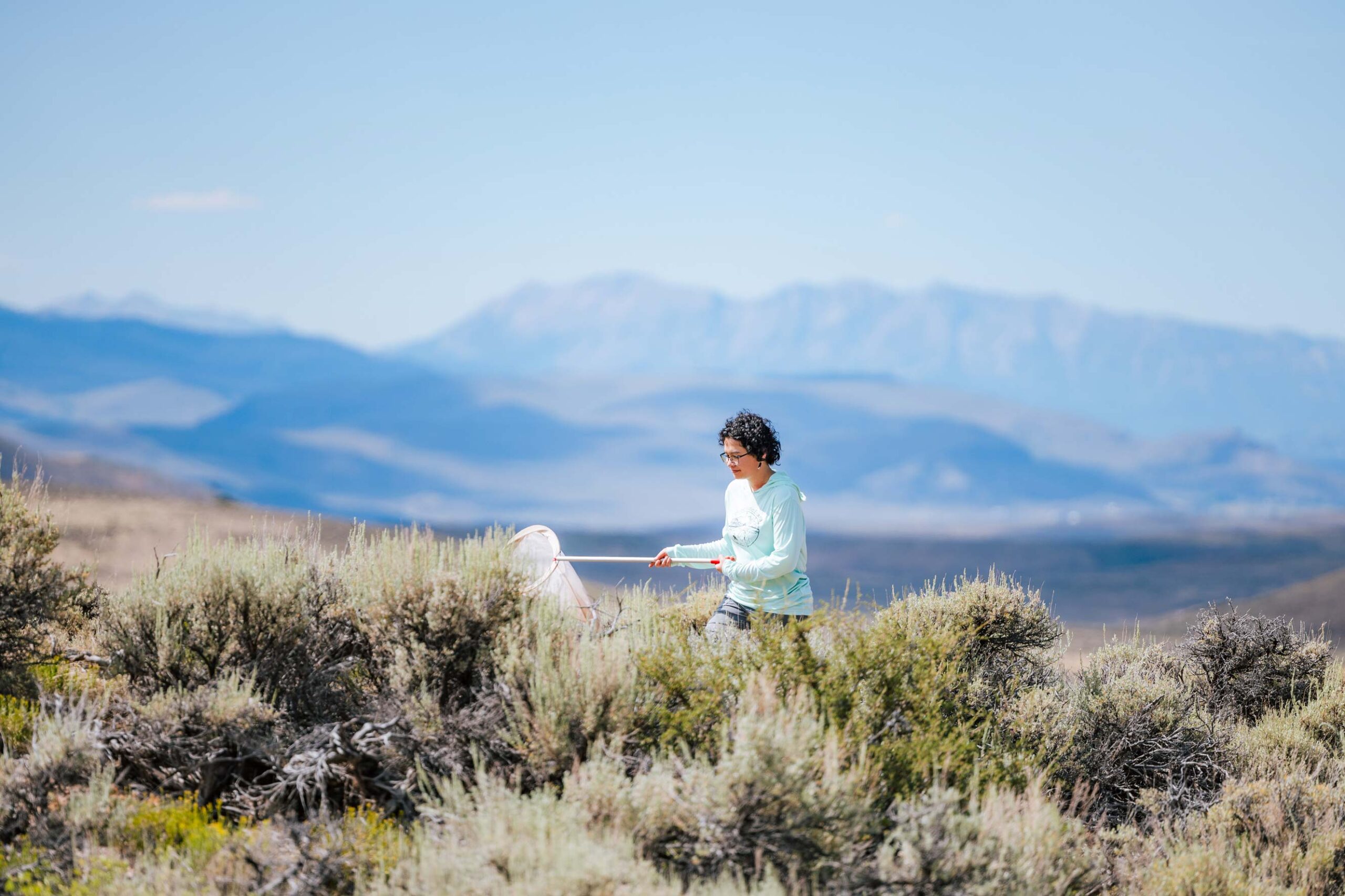 A person in a light-colored shirt stands in a brushy field, holding a net, with distant mountains visible under a clear blue sky.
